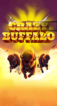 Crazy Buffalo